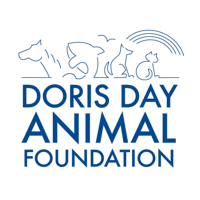 Doris Day Foundation