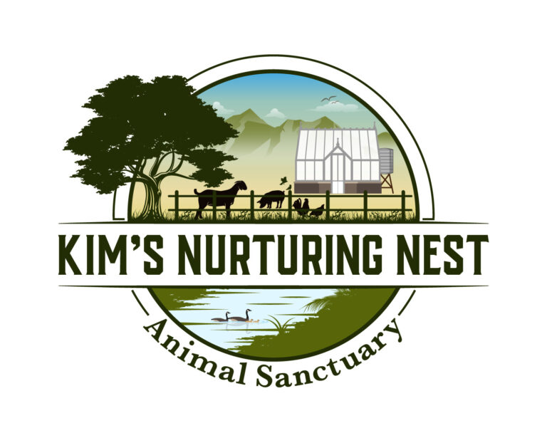 Kim’s Nuturing Nest