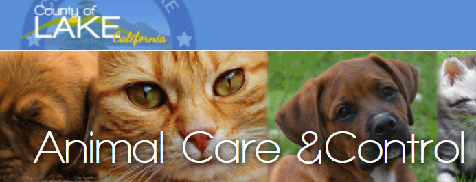 Lakeport Animal Care and Control, Lake County