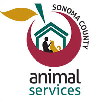 Sonoma County Animal Shelter