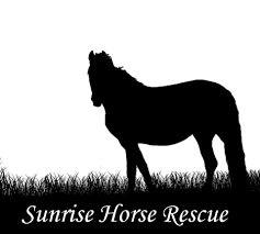 Sunrise Horse Rescue