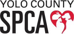 Yolo County Animal Shelter